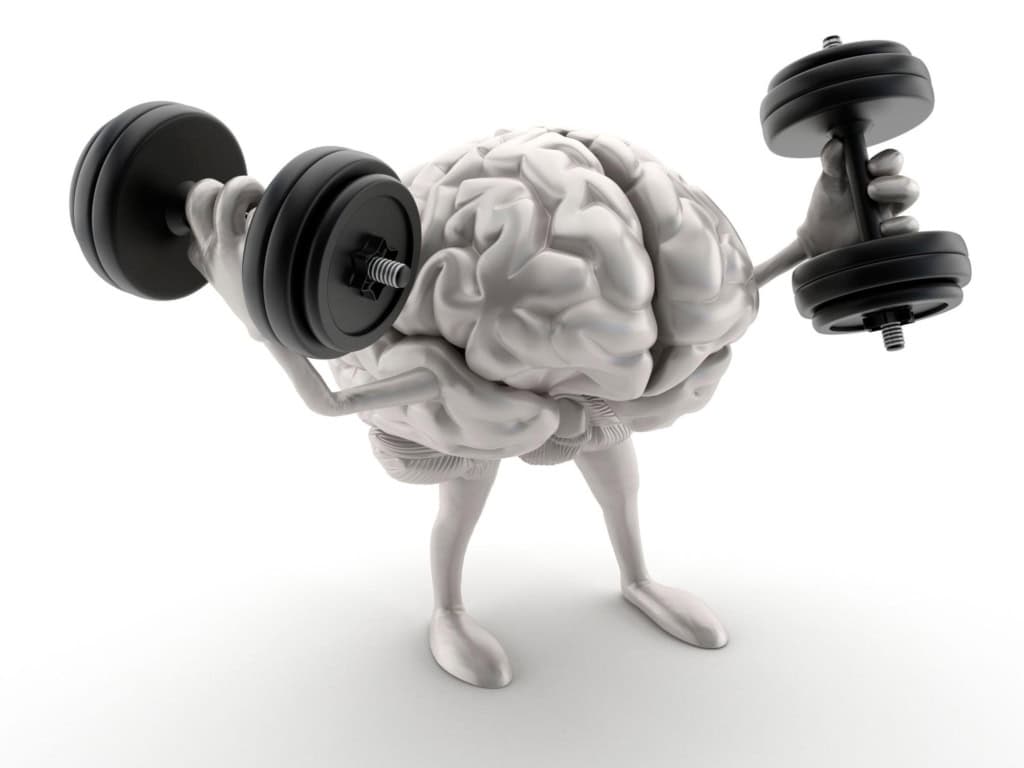 A brain holding two dumbells