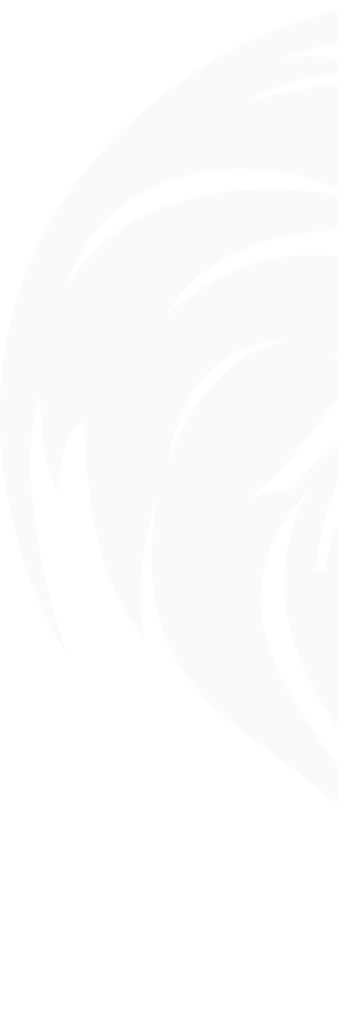 Lion cutout