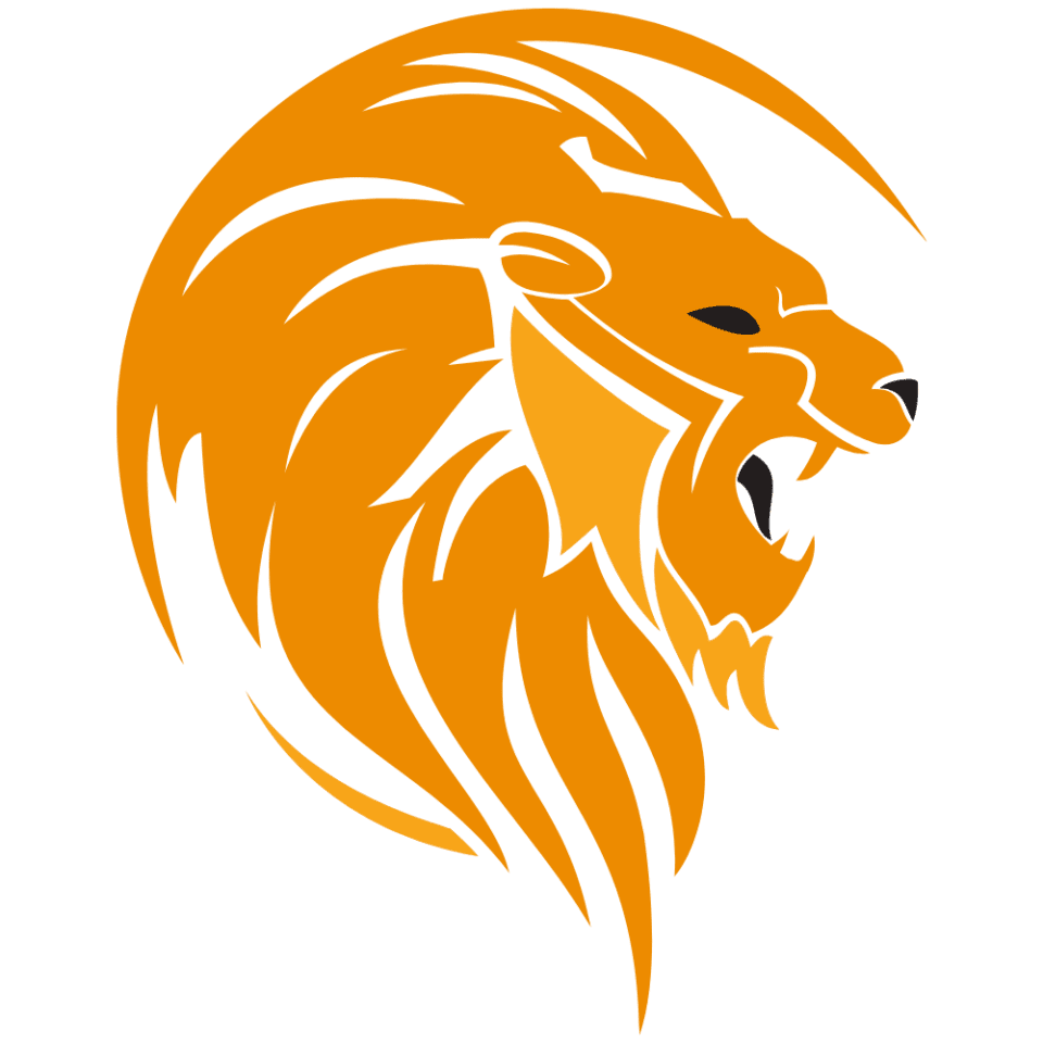 roar-physiotherapy-identify-rehabilitate-perform