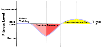 Adaptation Chart