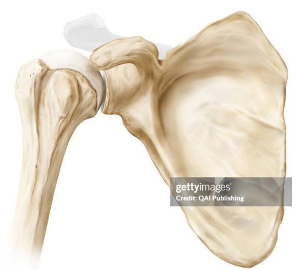Blog post figure 1 262505