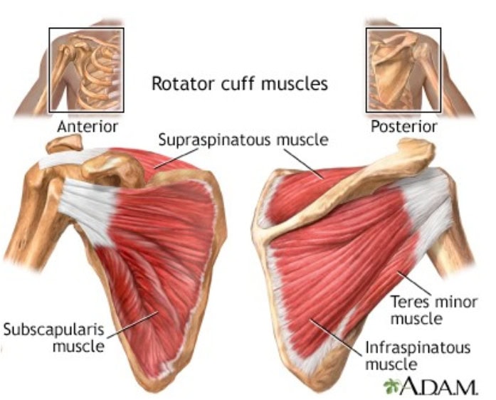 Blog post figure 2 260525